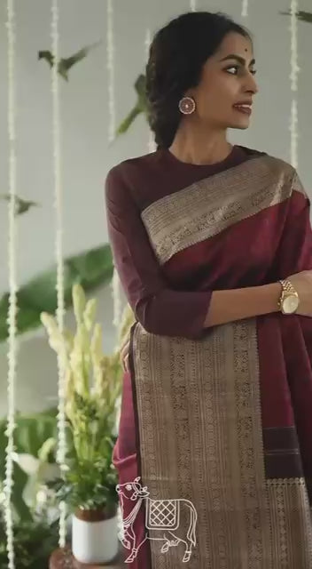 Women’s Soft Lichi Silk Saree with Rich Pallu & All Over Jacquard Work | Contrast Jacquard Border Saree